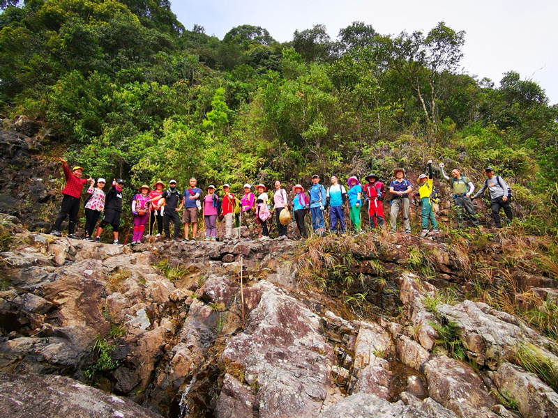 公司组织爬山活动-拥抱大自然