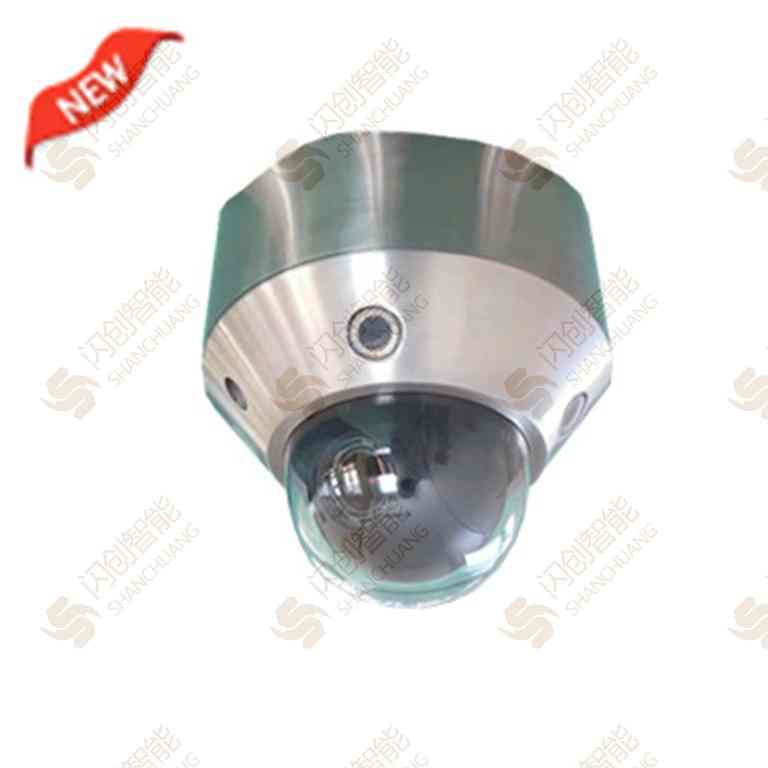 红外球型防爆摄像机【SCBS219-1Q/IR】